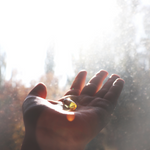Everything you need to know about Vitamin D