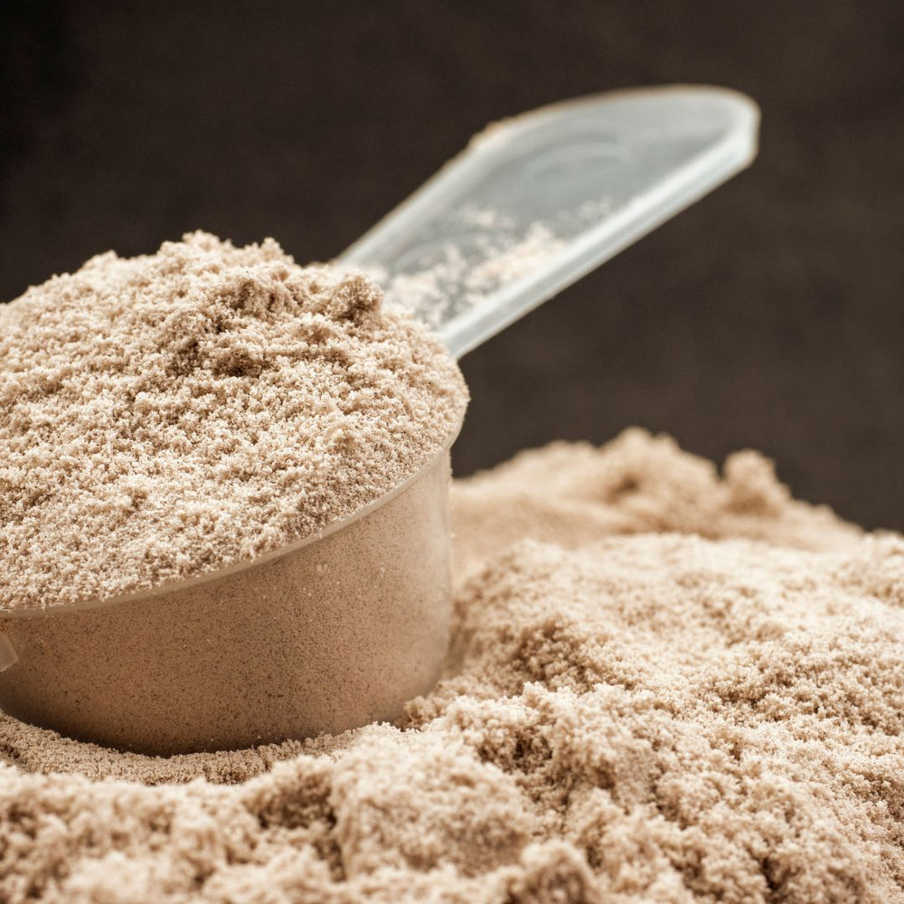 Protein powder 101