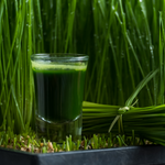 Why is wheatgrass a superfood?
