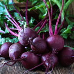 WHAT IS BEETROOT EXTRACT AND ITS BENEFITS?