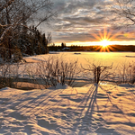 5 vitamins to take in winter.